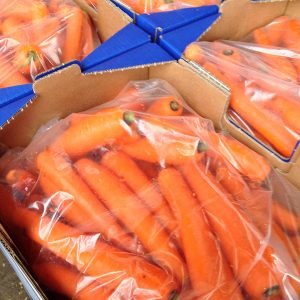 A selection of freshly picked carrots laid in a Veg-UK crate.