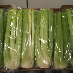A selection of wrapped celery laid in a Veg-UK crate.