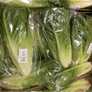 A selection of wrapped lettuces laid in a Veg-UK crate.